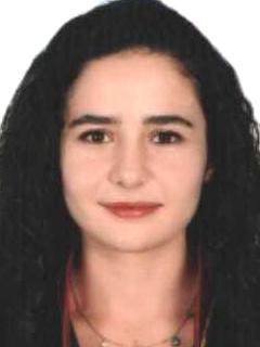 Av. Veysel Dinçarslan