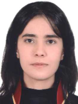 Av. Yunus Emre Güçlü