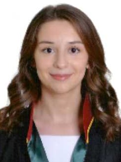 Av. Yunus Emre Şahin