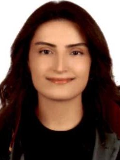 Av. Yunus Tanrikulu
