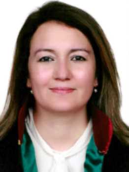 Av. Yusuf Alperen Yildirim