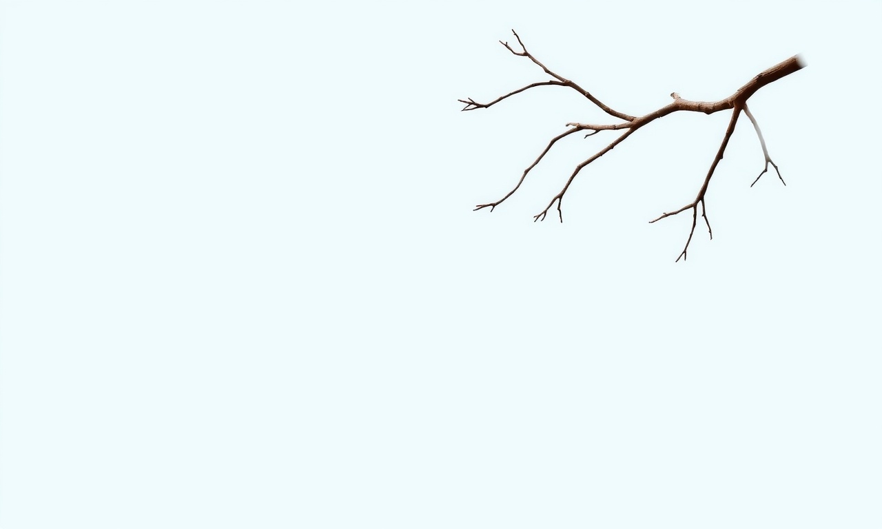 Fiyatları etkileme Davası: Şartları, Süreç ve Sonuçları