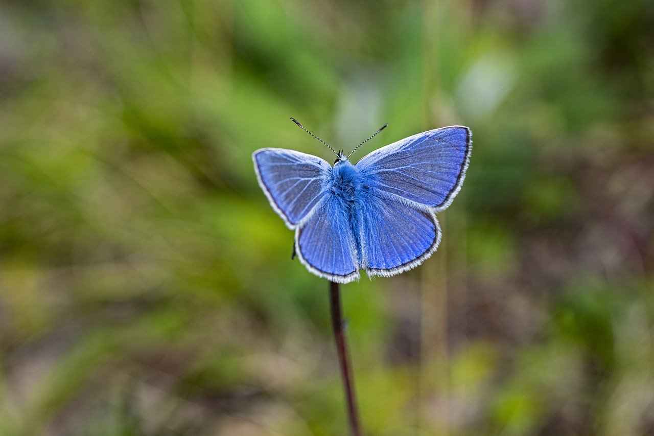 Anlaşmalı boşanmada nafaka talep edilebilir mi? 3 Anlaşmalı Boşanma ve Nafaka İlişkisi