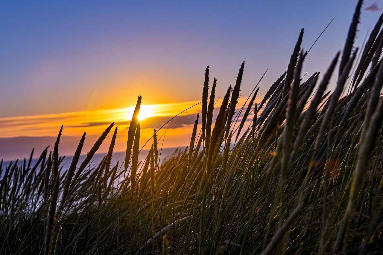 Boşandıktan Sonra Tazminat Talep Etme Şartları