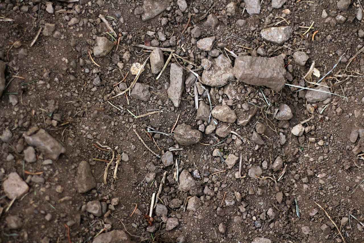 Mal Devrinin Hukuki Sonuçları