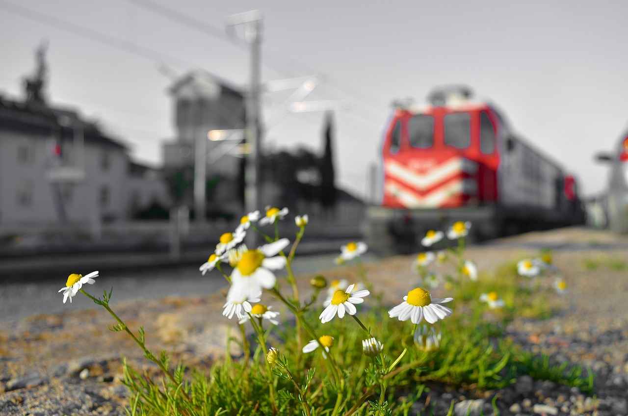 Boşanma Davası Açmadan Ayrı Yaşamanın Dezavantajları