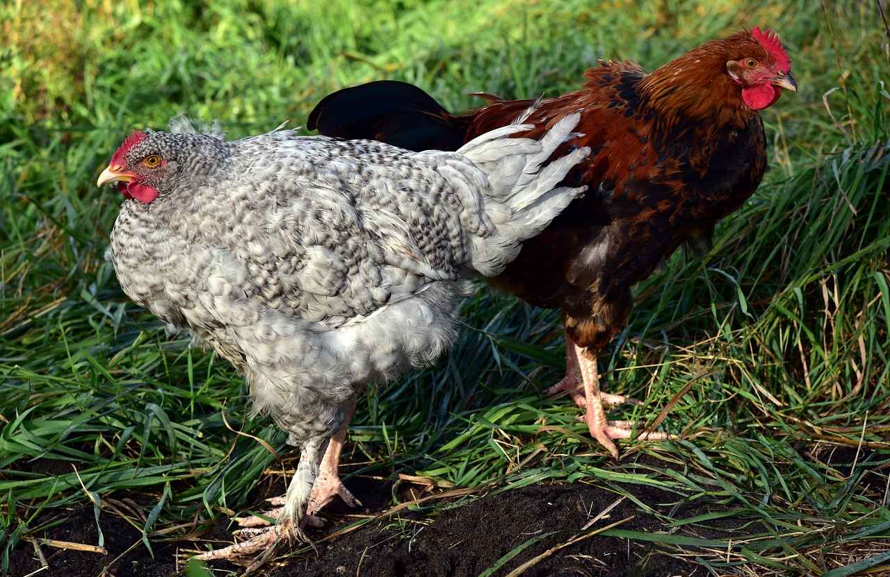 Karşı Dava Açmanın Avantajları