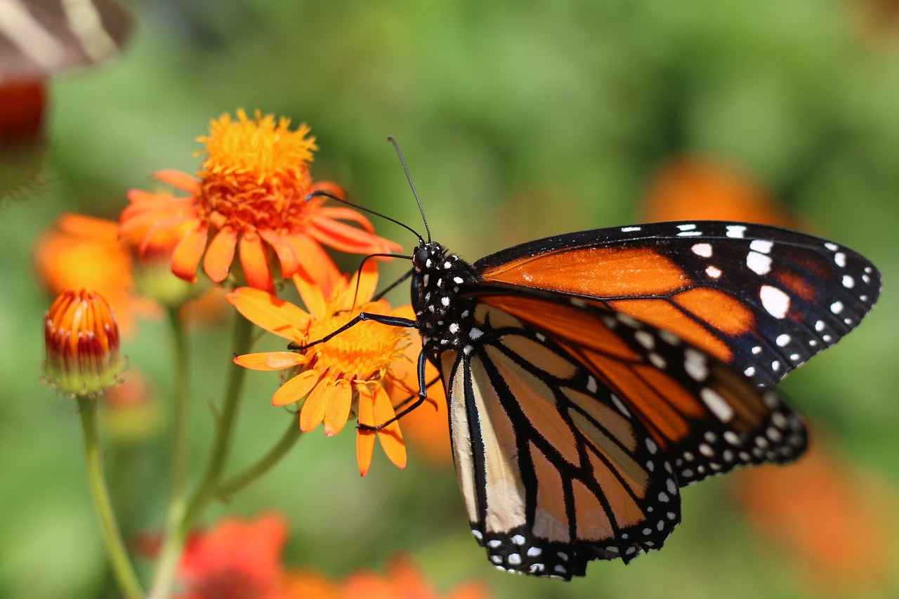 Boşanma davasında psikolojik şiddet nasıl ispatlanır? Boşanma davasında psikolojik şiddet nasıl ispatlanır?
