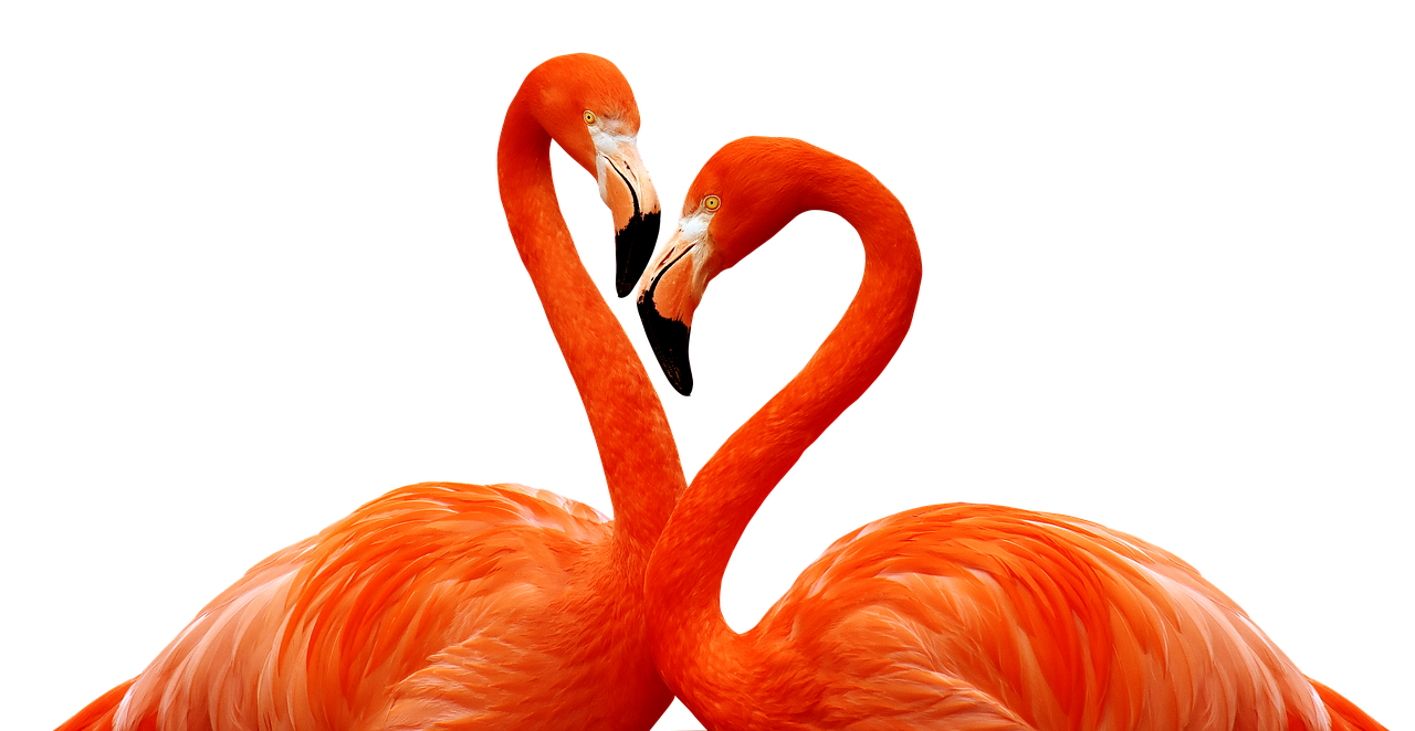 Uzlaşma Yolları ve Alternatif Çözümler