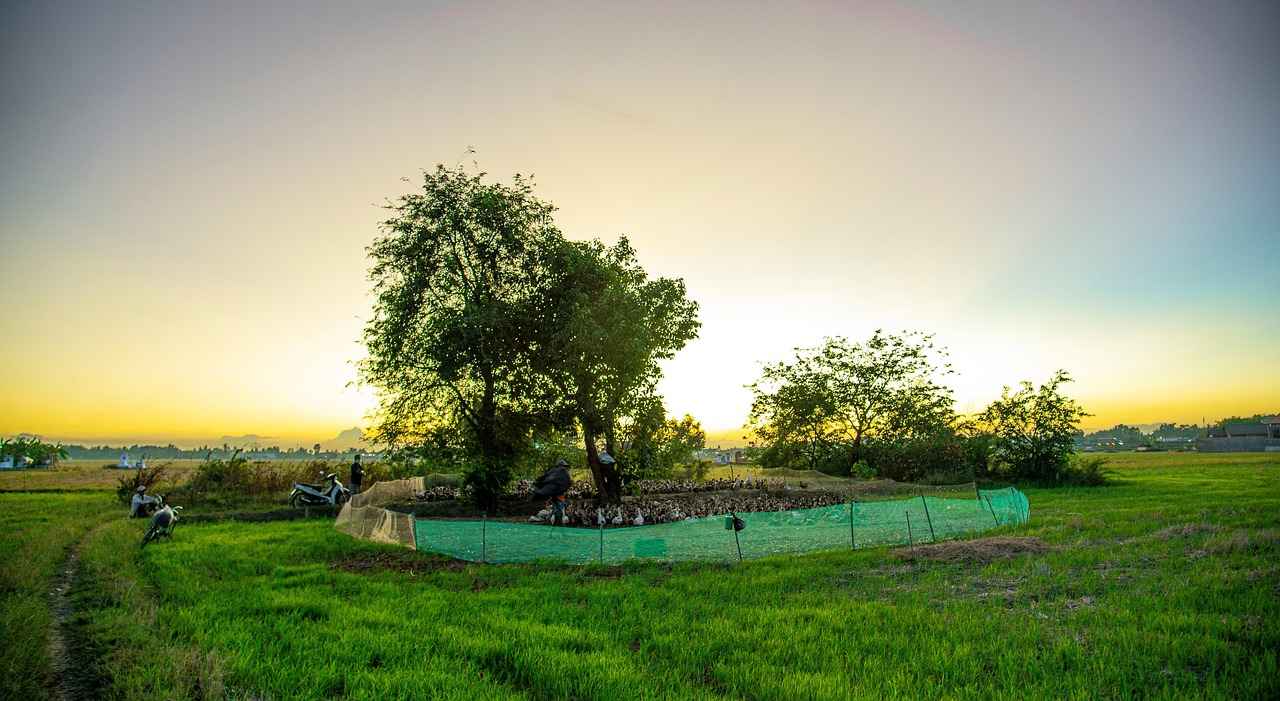 Hukuki Dayanaklar ve Yasal Süreç