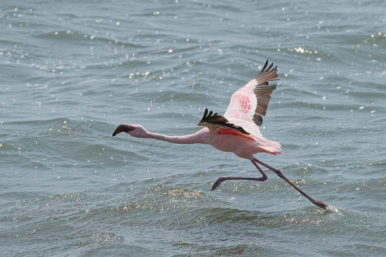 Boşanma Davalarında Borçların İspatı