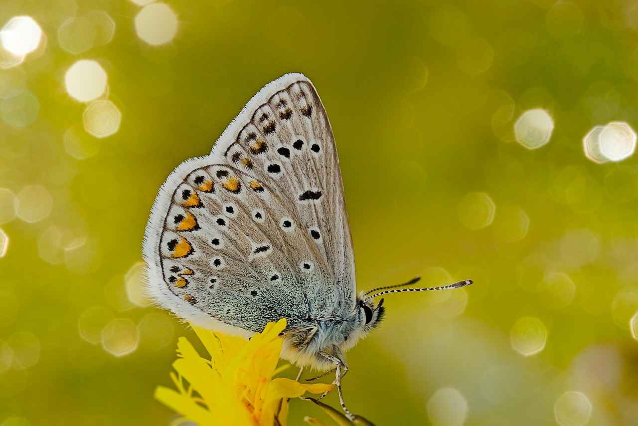 Boşanma Sürecinde Hukuki Destek Almanın Önemi