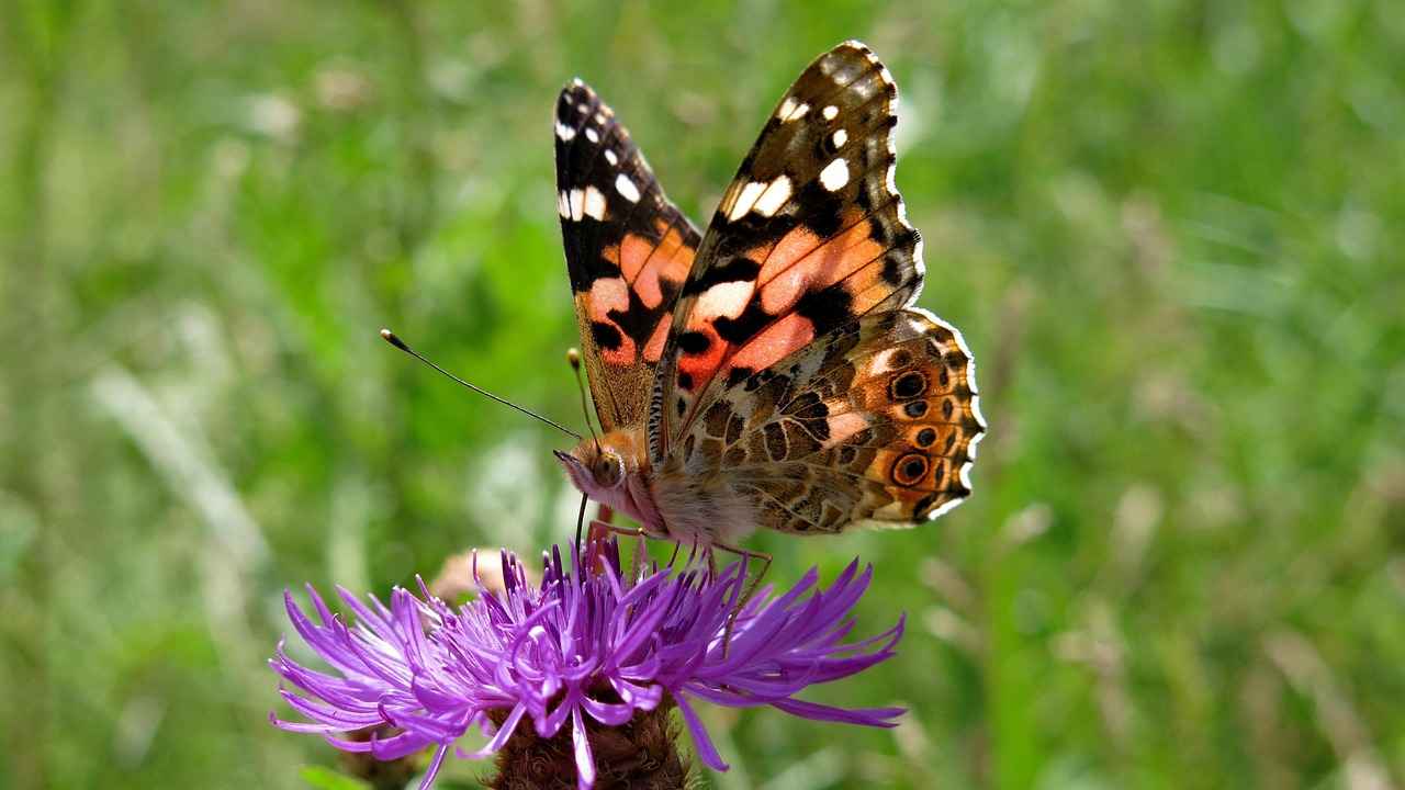 Boşanmada Evlilik Süresi Önemli Mi? Boşanmada Evlilik Süresi Önemli Mi?