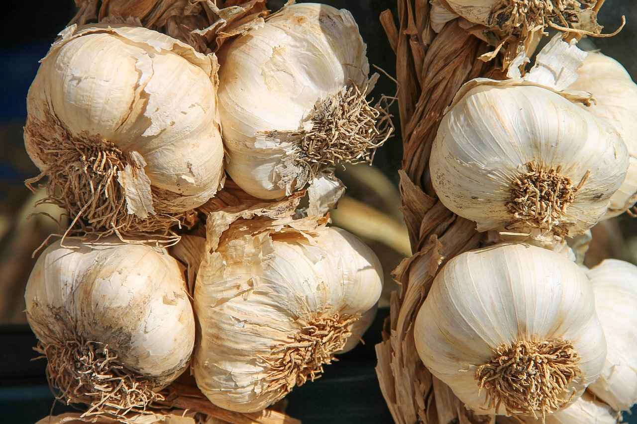 Kısa Evliliklerin Boşanma Sürecindeki Yeri