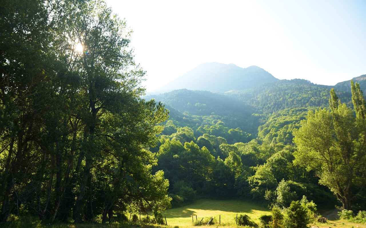 Korunma Yöntemleri