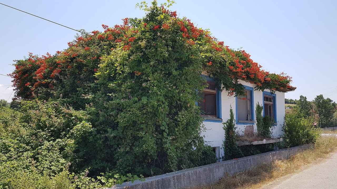 Karşı Tarafın İddiaları Neden Reddedilir?