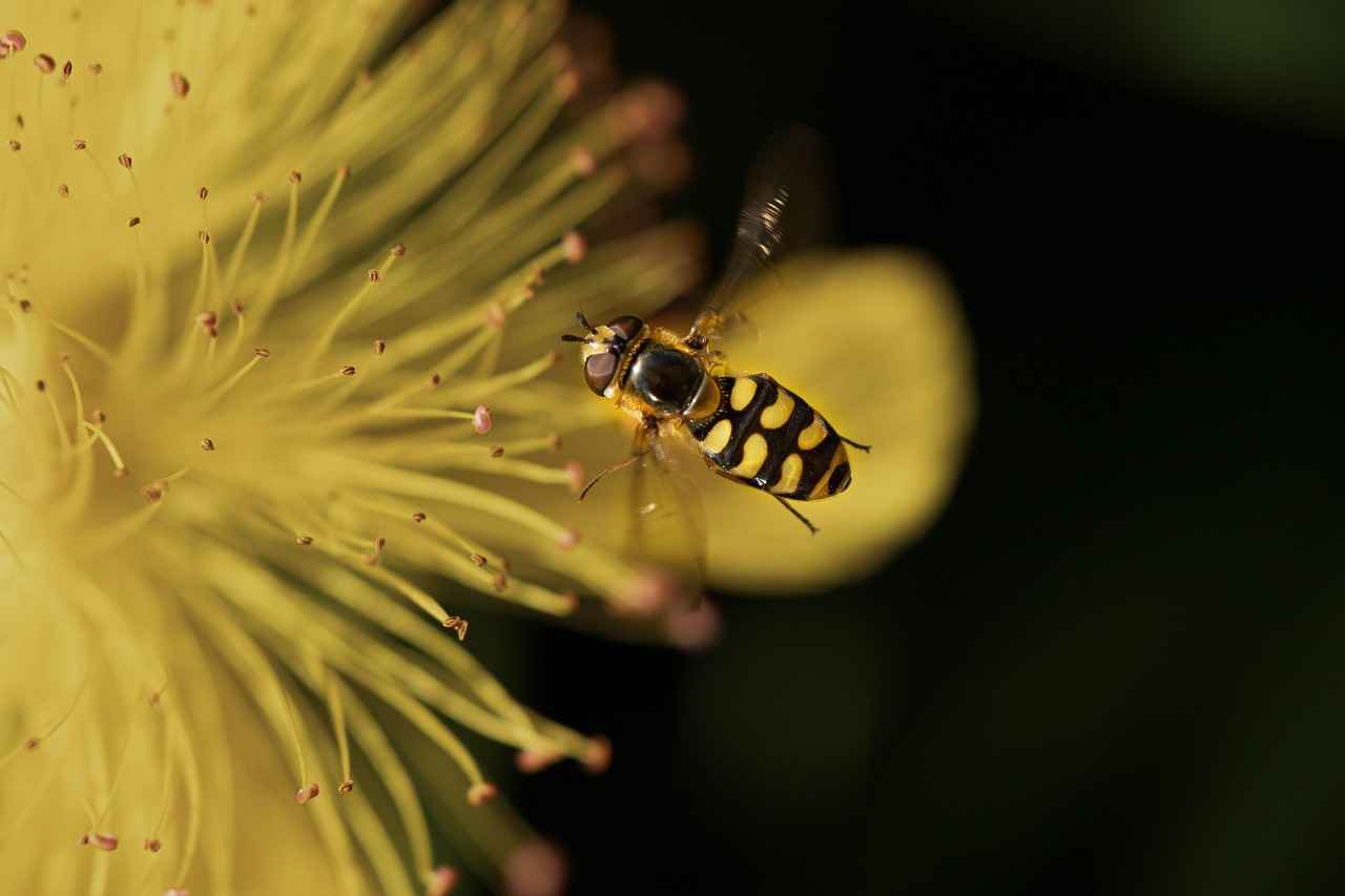 Çekişmeli boşanmada hakim hangi kriterlere göre karar verir? Çekişmeli boşanmada hakim hangi kriterlere göre karar verir?