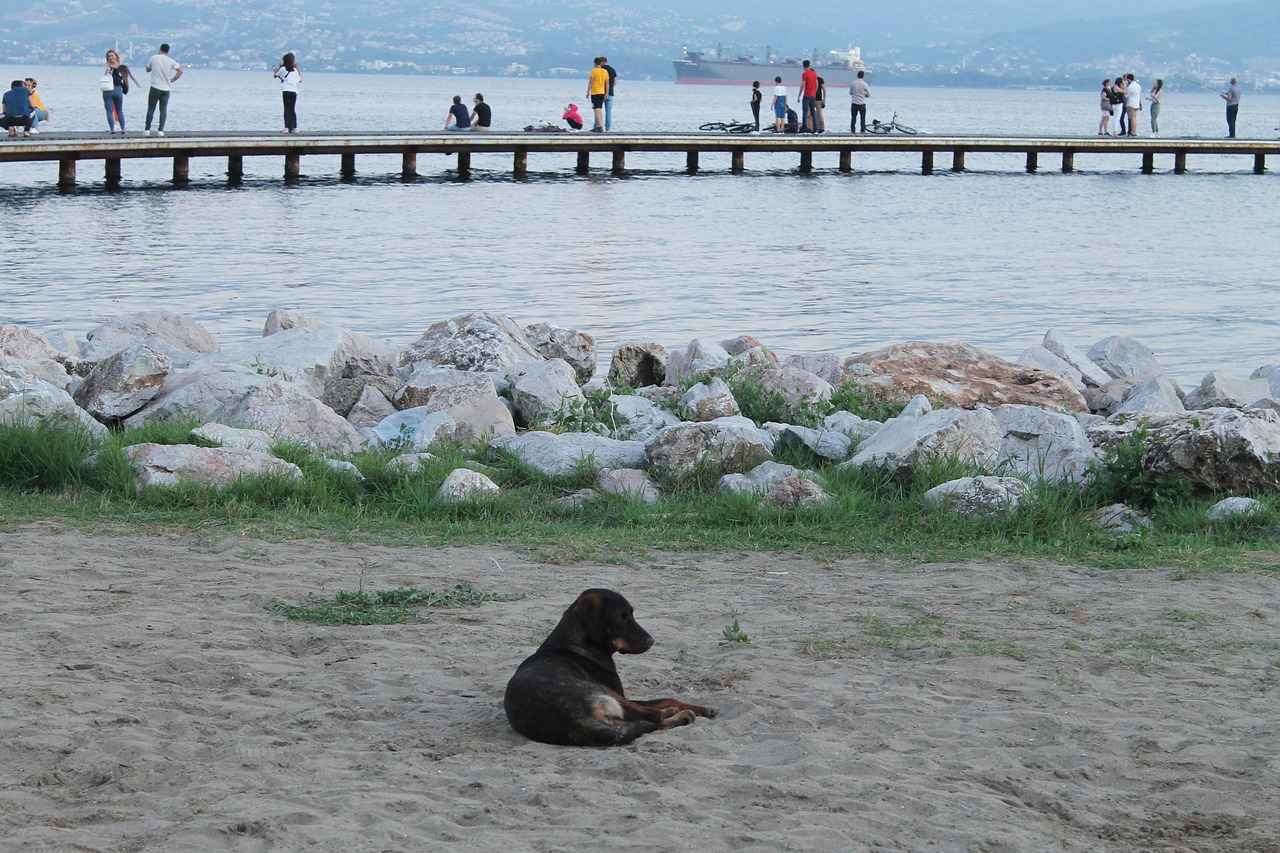 İştirak Nafakasının Değiştirilmesi