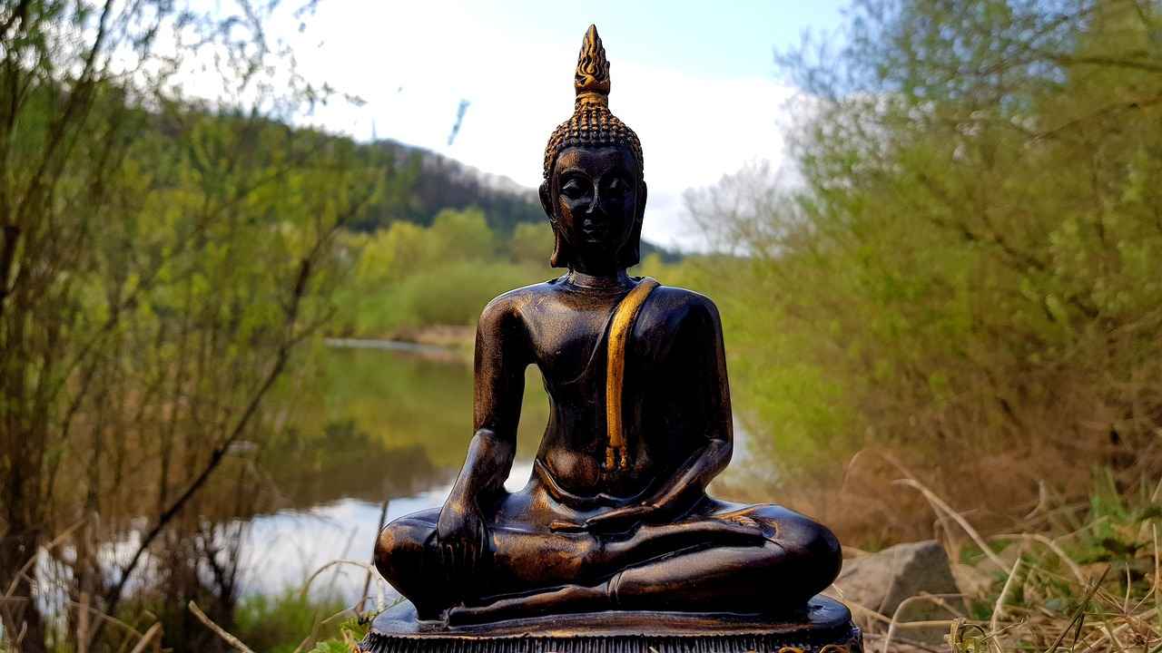 Ehliyet Geri Alma Başvurusu