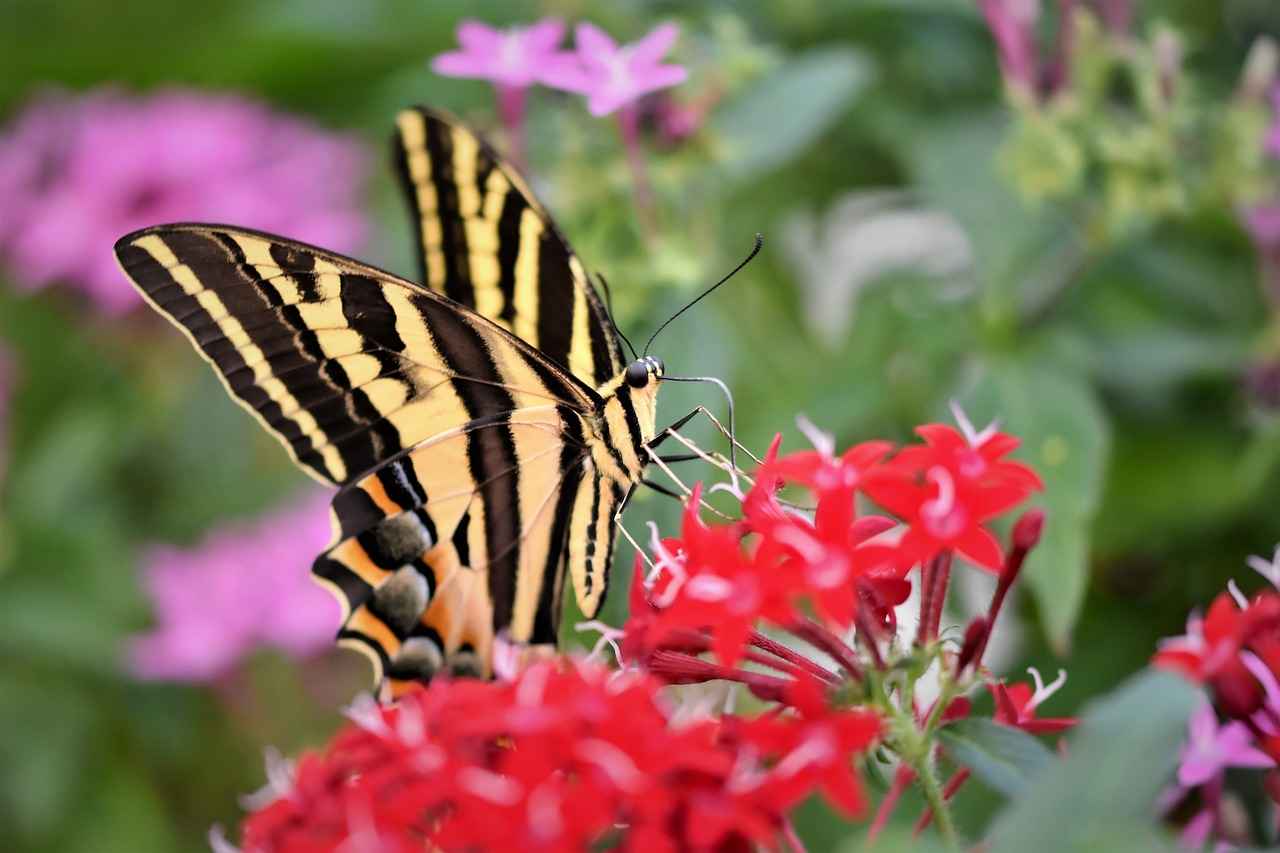 Evlilik iptal edilirse nüfus kayıtları nasıl düzeltilir? Evlilik iptal edilirse nüfus kayıtları nasıl düzeltilir?