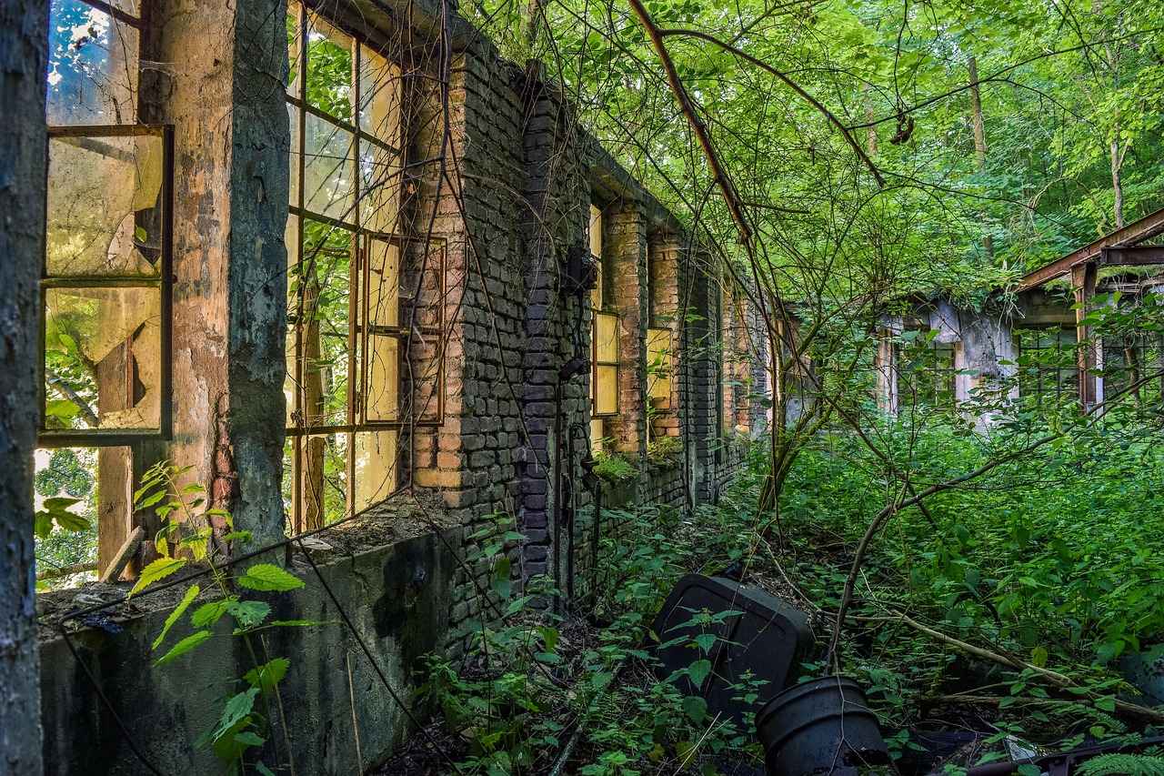 Evlilik İptali Davası Nedir?