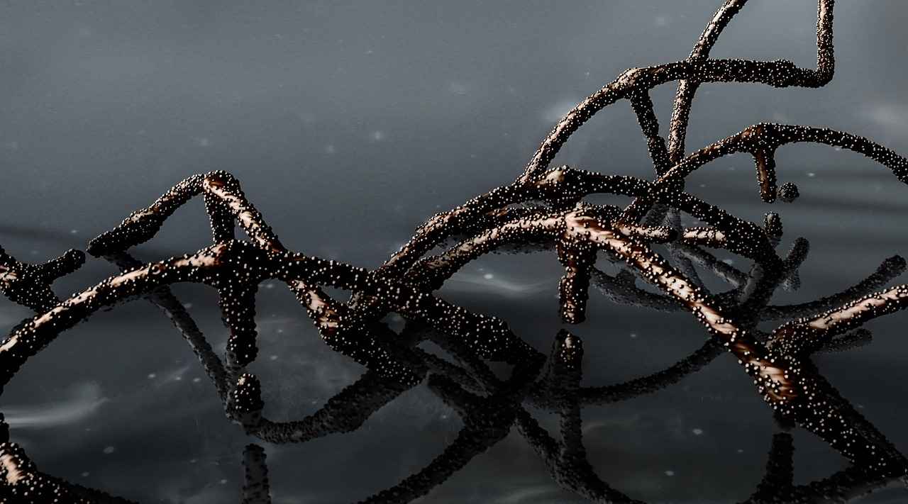 Evlilik iptali davasında DNA testi talep edilebilir mi? Evlilik iptali davasında DNA testi talep edilebilir mi?