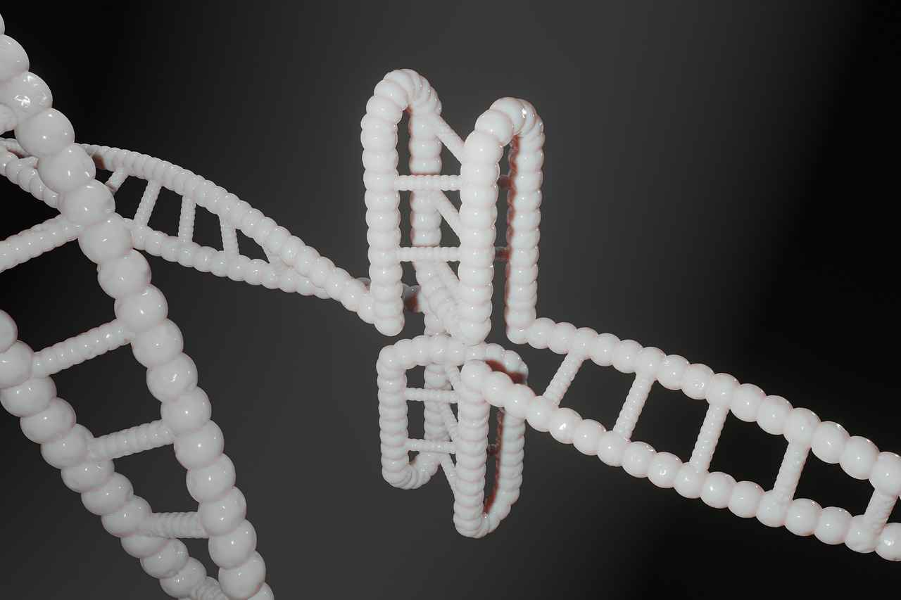 DNA Testinin Sonuçları ve Etkileri