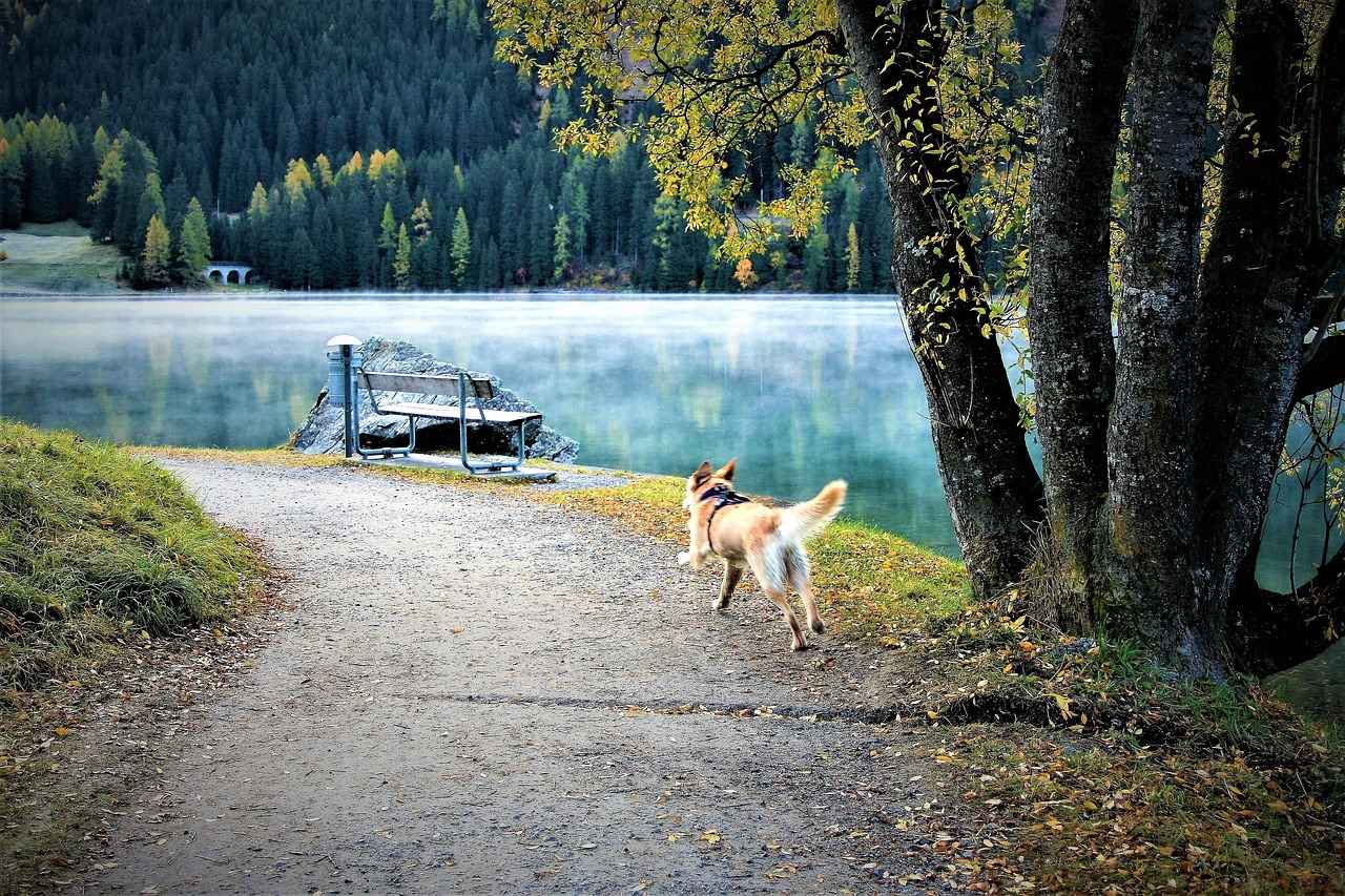 Yurtdışında Yaşayan Tarafın Dava Sürecine Etkisi