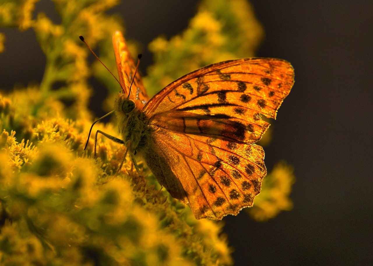 Tazminat Hesaplama Yöntemleri