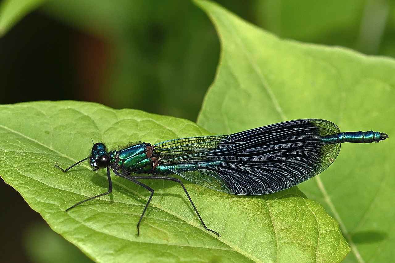 Evlilik iptali kararına itiraz edilebilir mi? 2 Evlilik İptali Kararına İtiraz Süreci