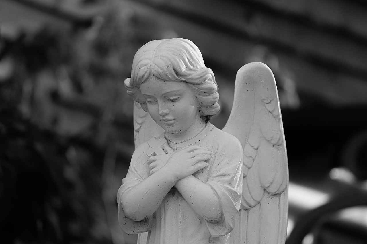 Evlilik İptali ve Sigorta Hakları