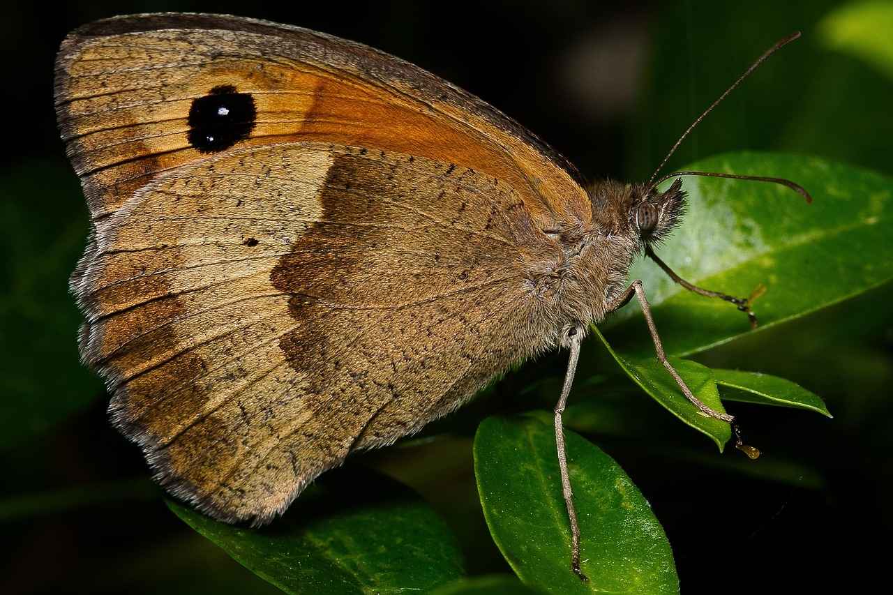 Evlilik süresi nafaka almayı etkiler mi? Evlilik süresi nafaka almayı etkiler mi?