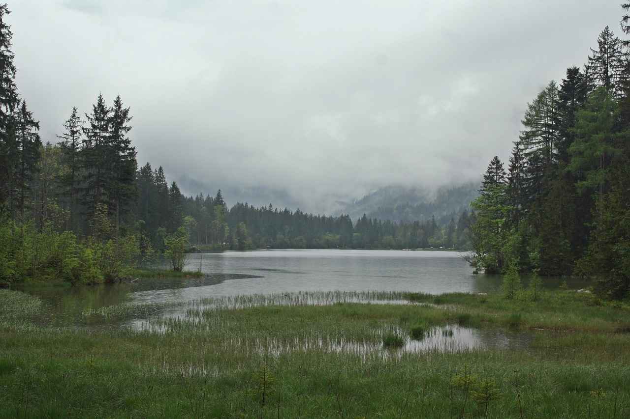 Yasal Süreçler ve Haklar