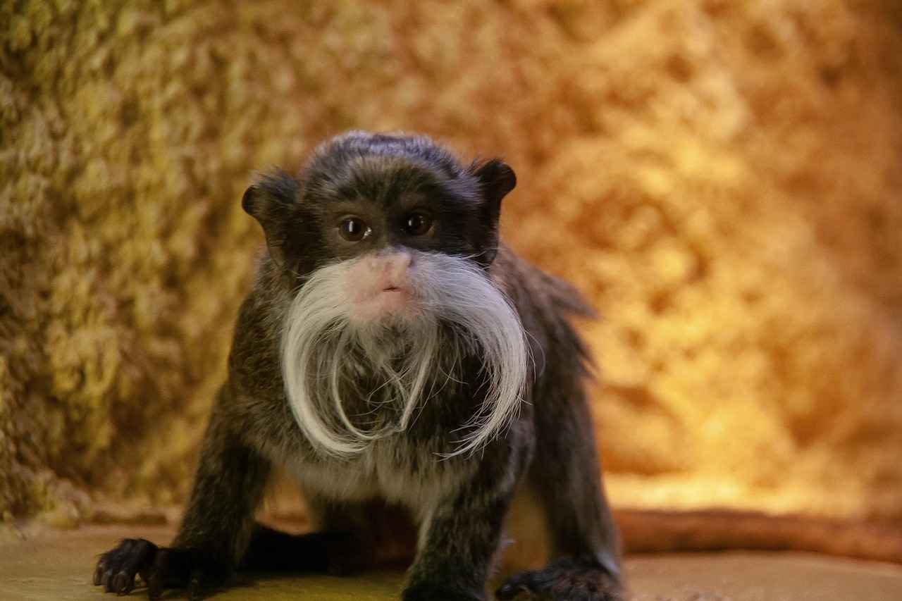 İftiraya uğradım, ne yapmalıyım? 3 İftiraya Uğradığınızı Nasıl Anlarsınız?