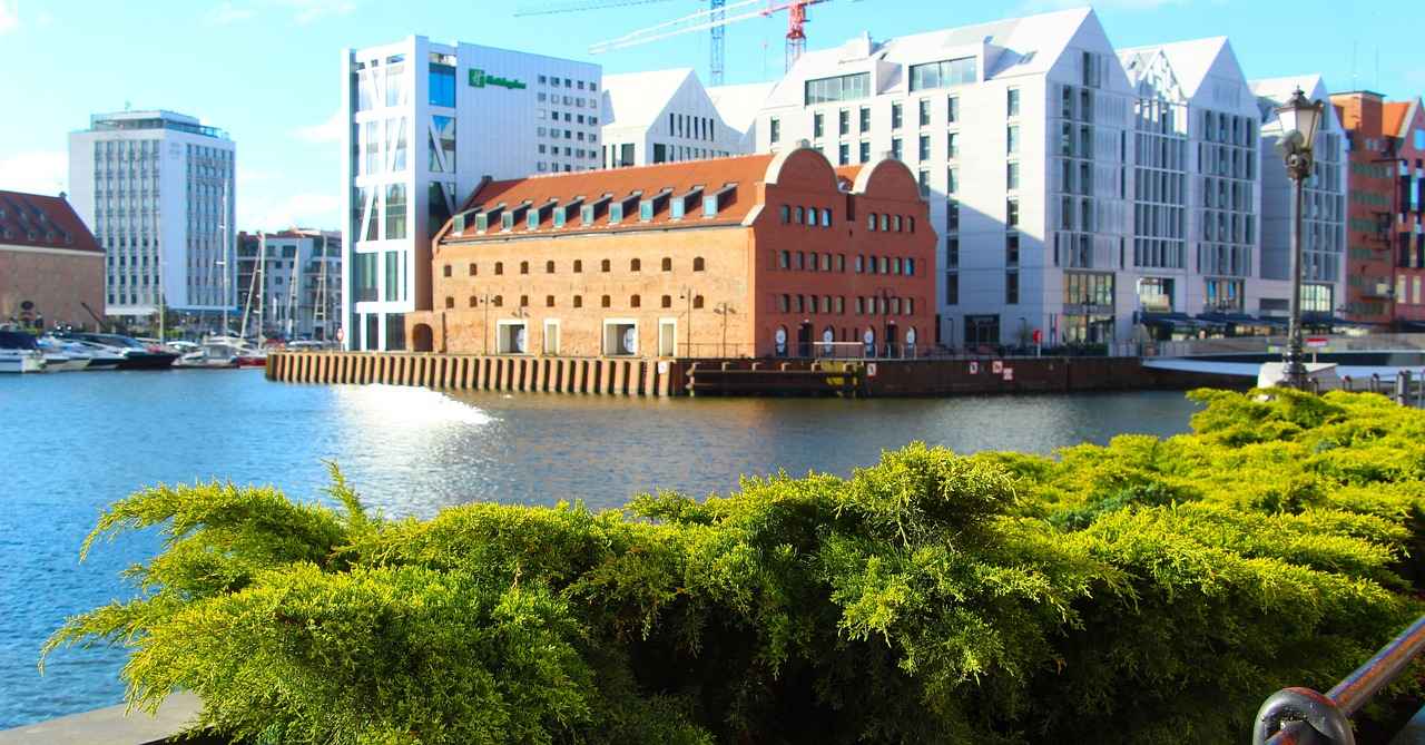 Mobbing Mağdurlarının Hakları