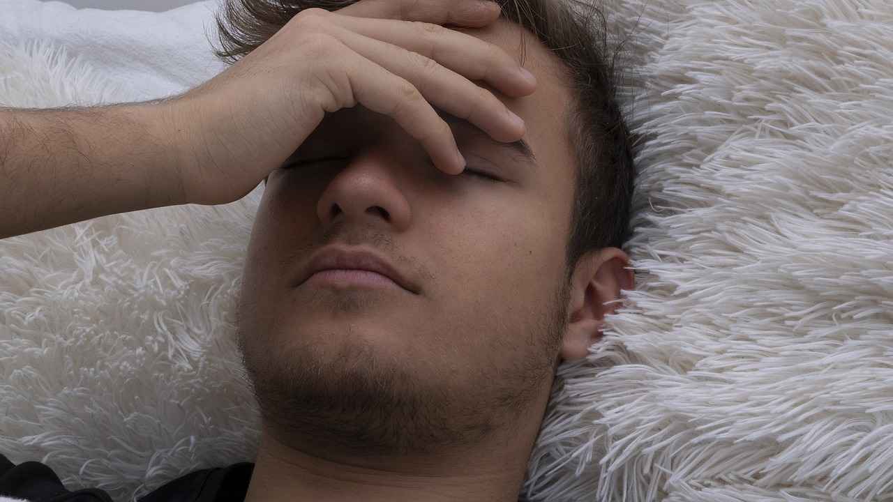 Kredi ile Alınan Arabaların Paylaşımı