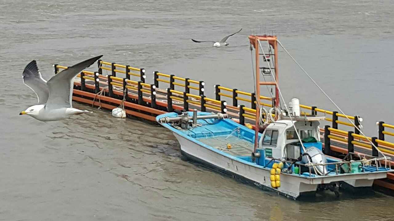 Mal Paylaşımında İcra Sürecinin Temel Aşamaları