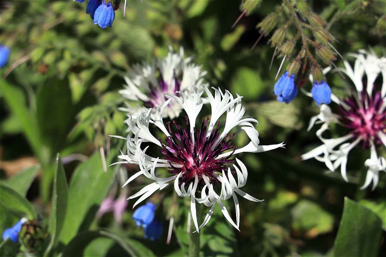 Mala Zarar Verme Suçunun Tanımı