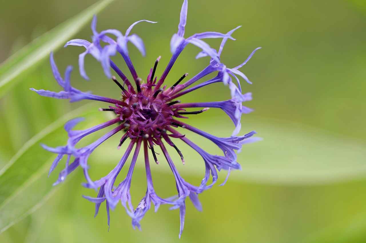 Mala Zarar Verme Suçunun İspatı