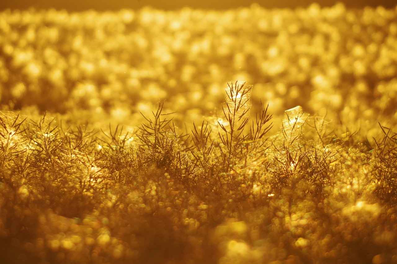 Mala Zarar Verme Suçu ile İlgili Savunma Hakkı