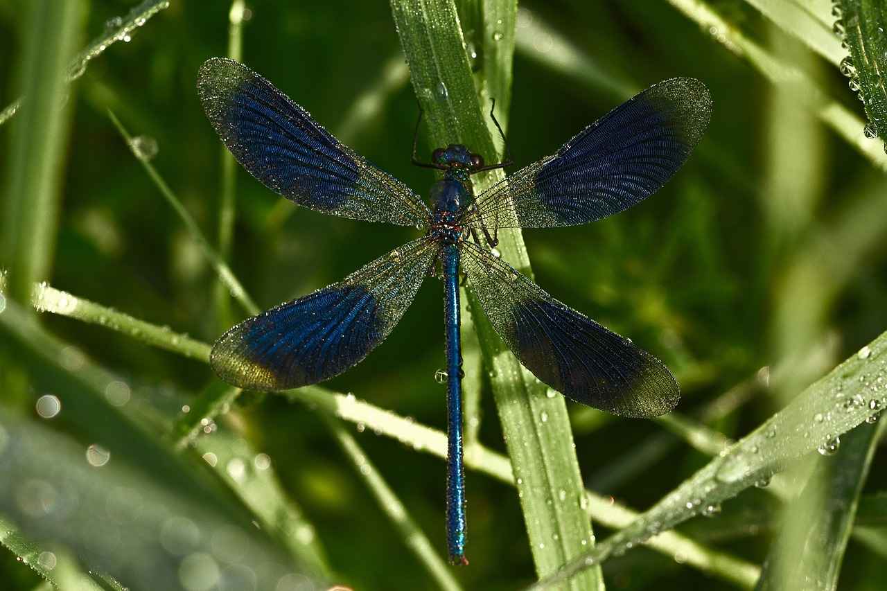 Nafaka almak için başvuru süresi var mı? Nafaka almak için başvuru süresi var mı?