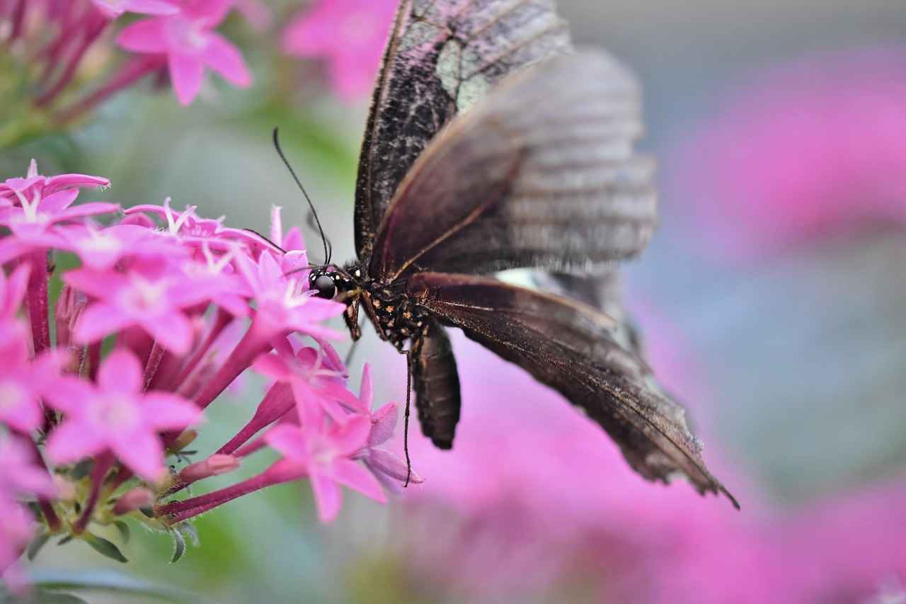 Nafaka davalarında hakim hangi faktörleri göz önüne alır? Nafaka davalarında hakim hangi faktörleri göz önüne alır?