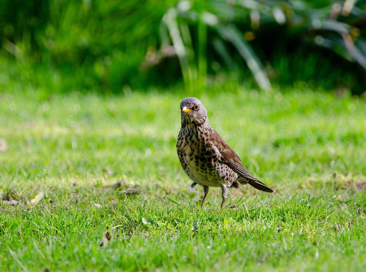 Nafaka Davalarının Aile Dinamiklerine Etkisi