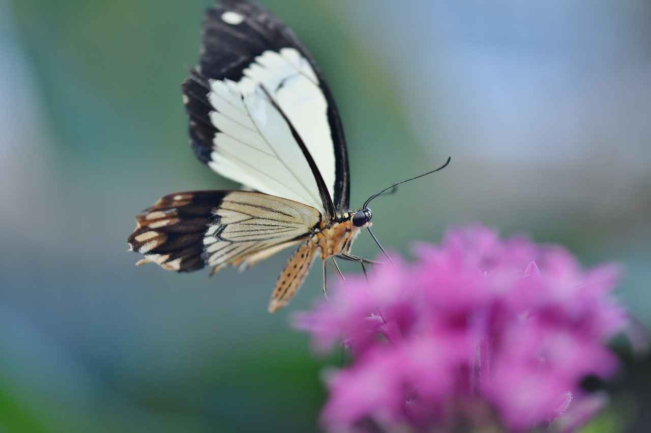 Nafaka davası açarken hangi harçları ödemem gerekir? Nafaka davası açarken hangi harçları ödemem gerekir?