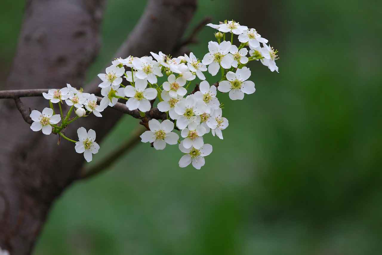 Nafaka davası açarken karşı tarafın mal varlığı incelenir mi? Nafaka davası açarken karşı tarafın mal varlığı incelenir mi?