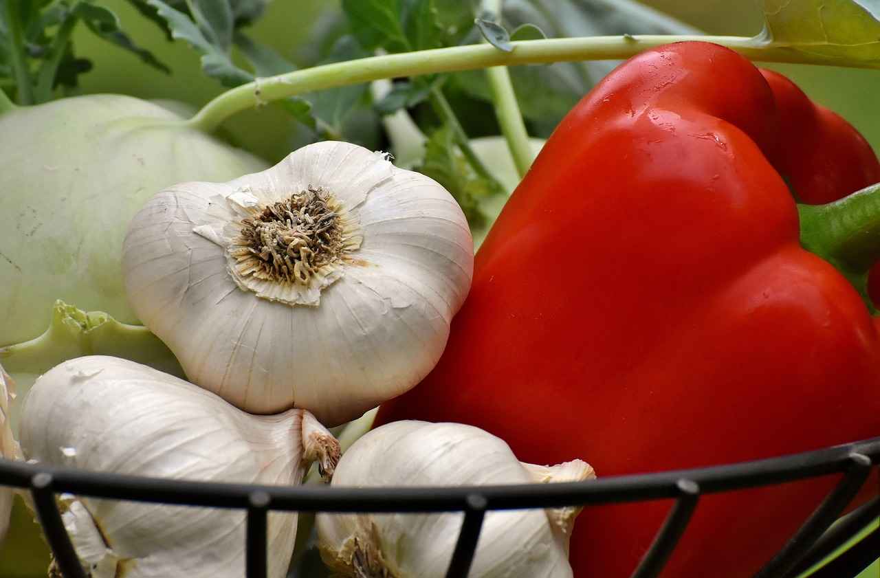 Nafaka Miktarının Düşürülmesi Hakkında Sık Sorulan Sorular