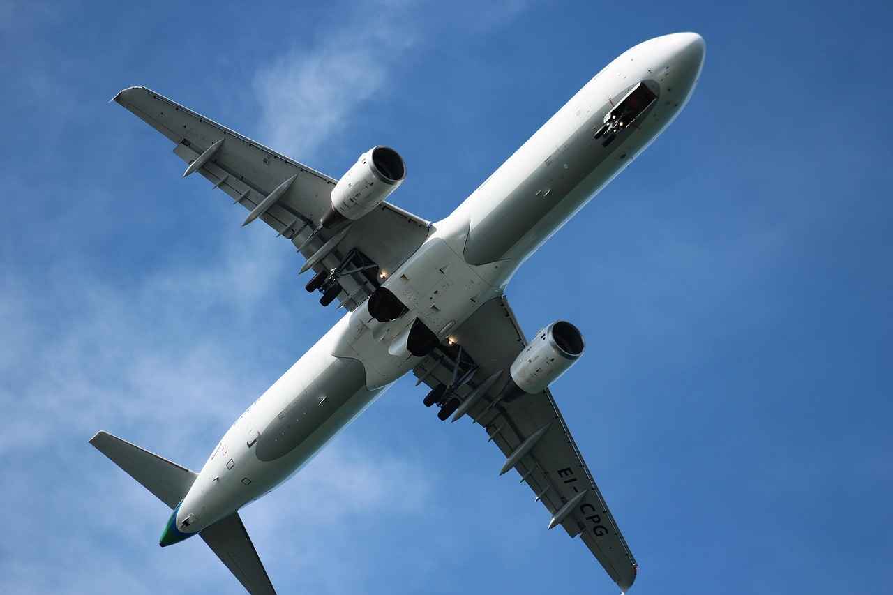 Nafaka Ödememe Durumunda İcra Süreci