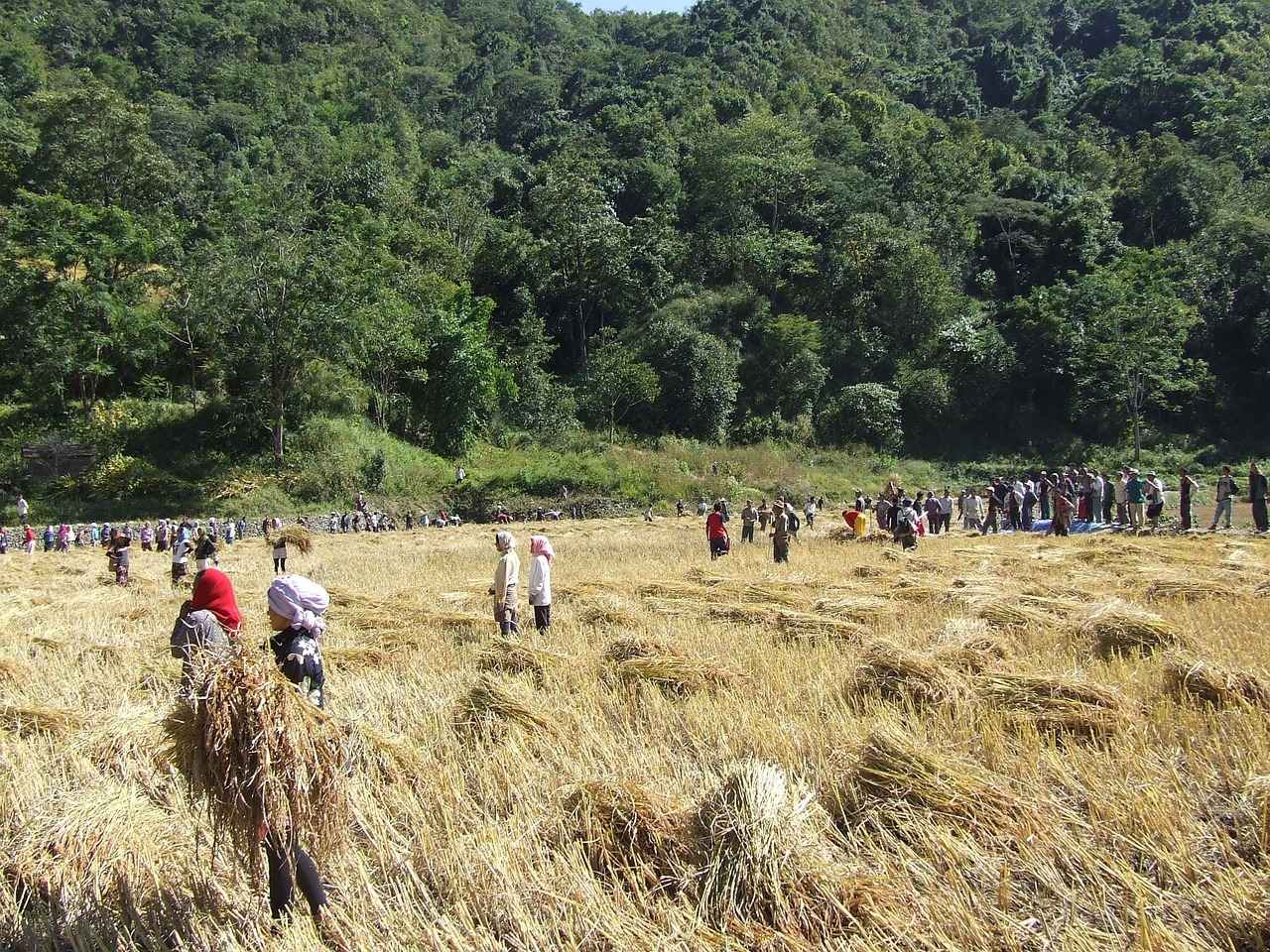 Nafaka Ödemelerinde Haciz Uygulamaları