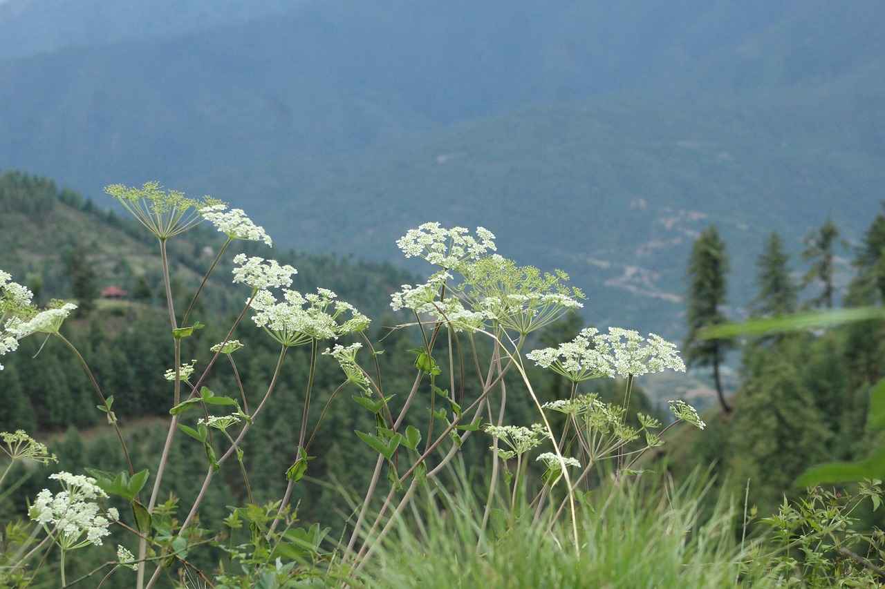 Nitelikli Hırsızlık Nedir? 3 Nitelikli Hırsızlık ve Cezası