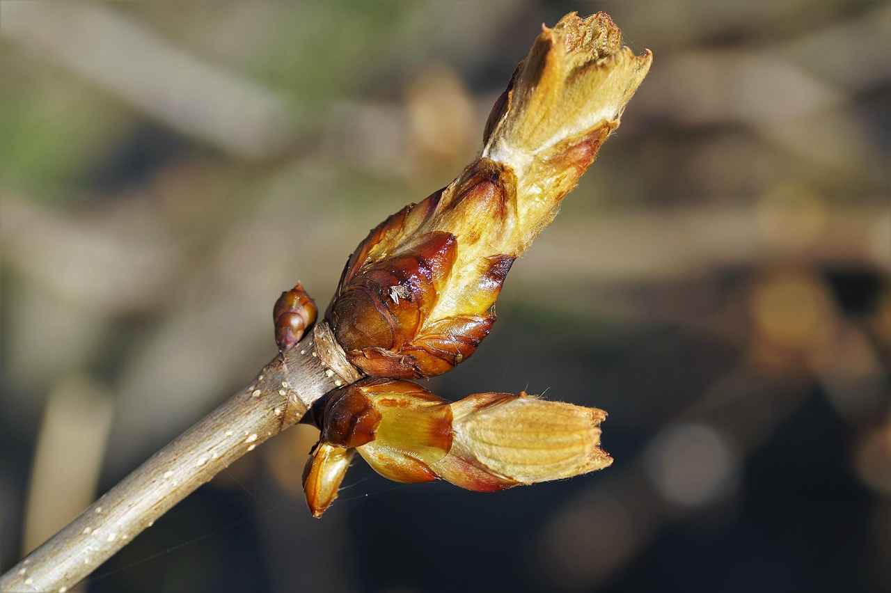 Park cezasına nasıl itiraz edilir? 3 İtiraz İçin Gerekli Belgeler